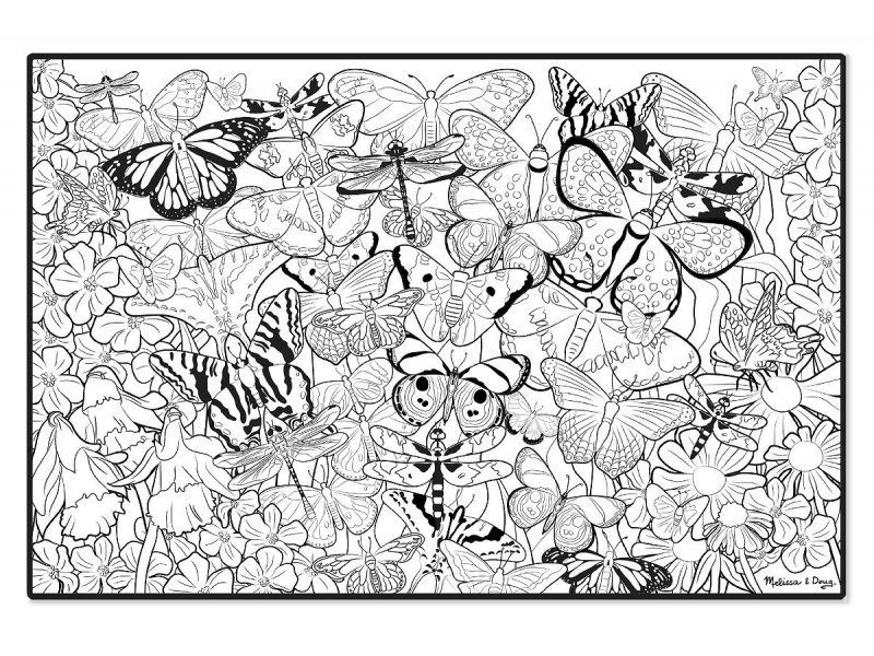 Постер для раскрашивания "Бабочки"  